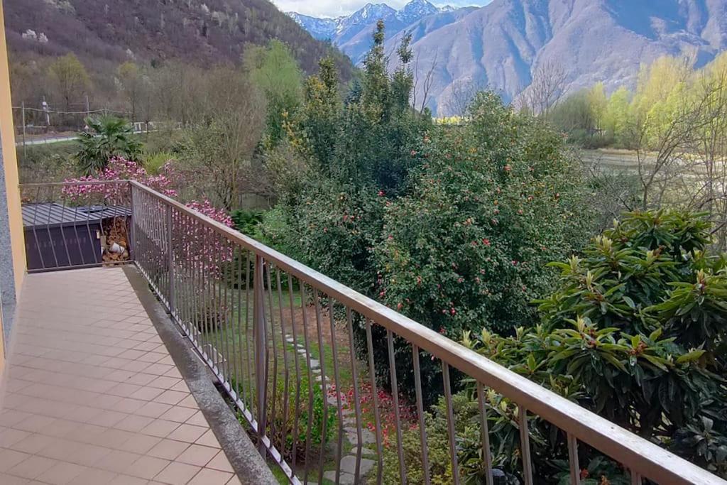 Il Nido Dei Cigni Apartment Vogogna Luaran gambar